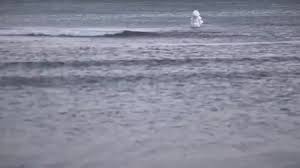 Slamdacne 2014 Jury Award for Experimental Short: Real Ethereal