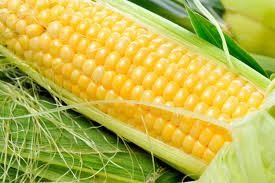 Corn