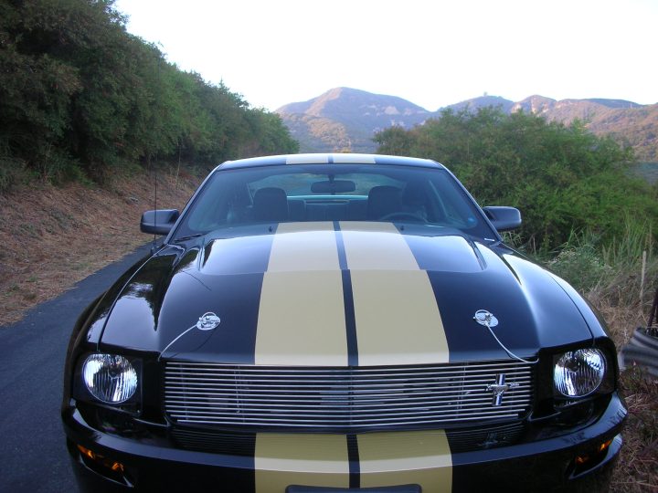 Shelby GT H
