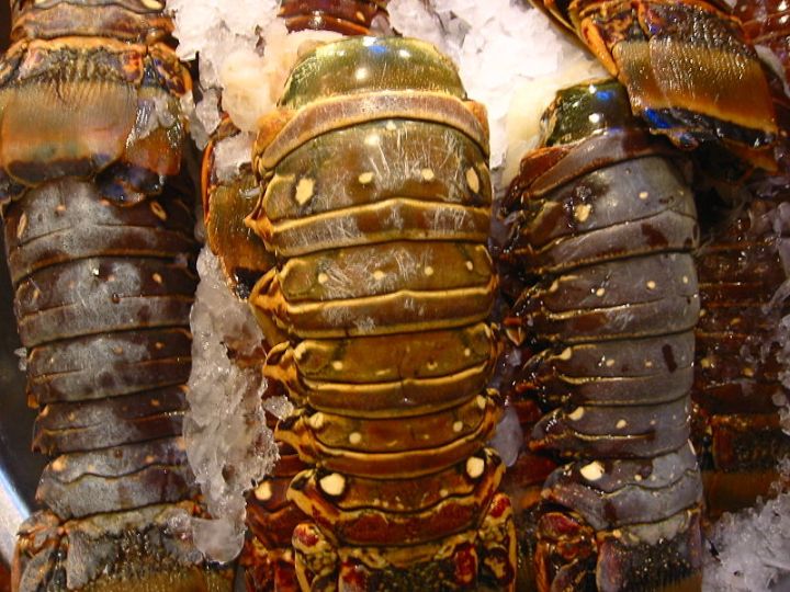 800px-Lobster_tails